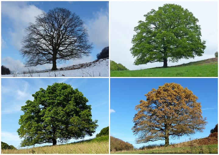Seasons change, systems change